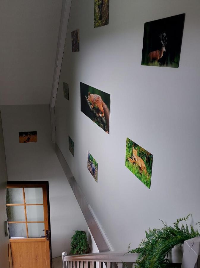 Apartmán O Baguenaudes Jalhay Exteriér fotografie